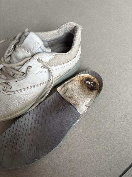 Please can someone help me find these?