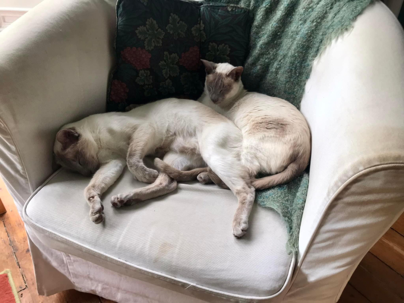 Thread 2. Starmer, return of the Labour government