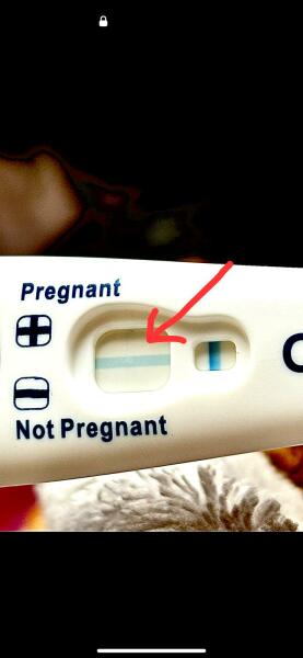 HELP! Early pregnancy or not pregnant?