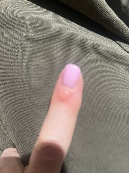 Any ideas what this is?