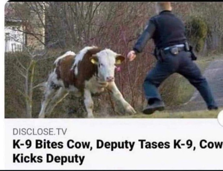 I don’t know how to play Rock/Paper/Scissors- please tell me I’m not the only one…