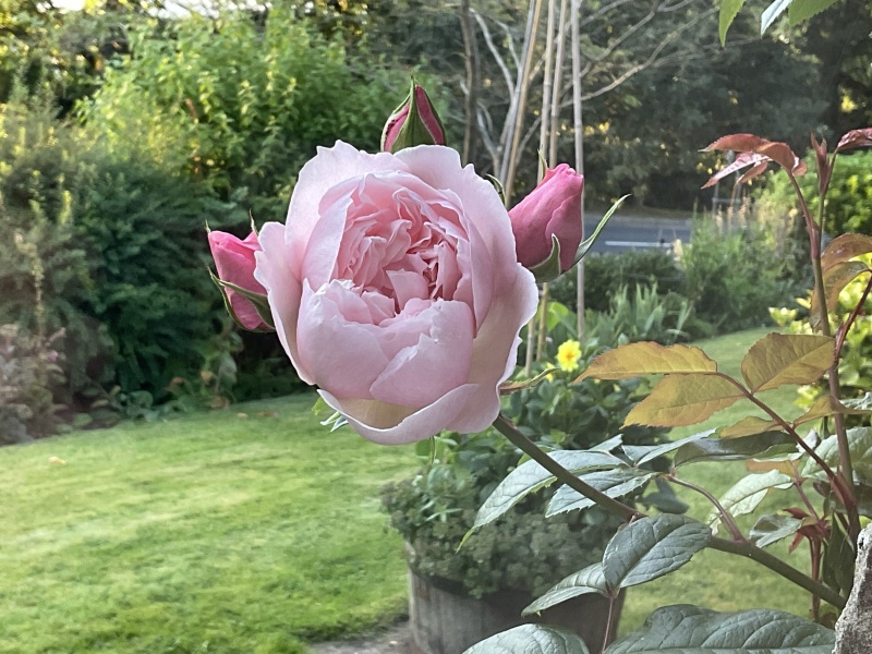 Show Us Your Photos