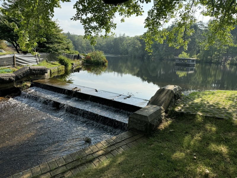 Come and tell me your dull and unexciting news 30: Calmly through the day