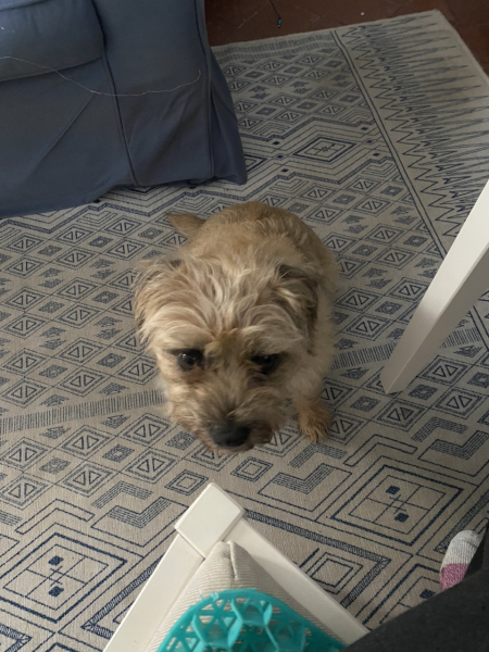 Thread 2. Starmer, return of the Labour government