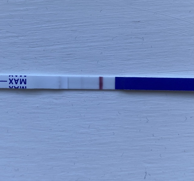 Can someone please have a look at this test for me (faint line)