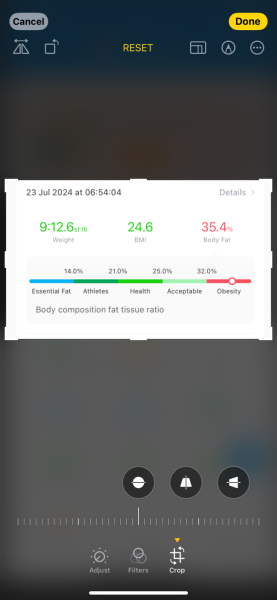 Continuing Mounjaro...part 17