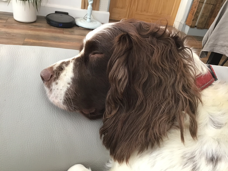 Thread 3 Starmer:  Digging has started, bigger shovel required