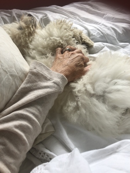 Please help regarding puppy …