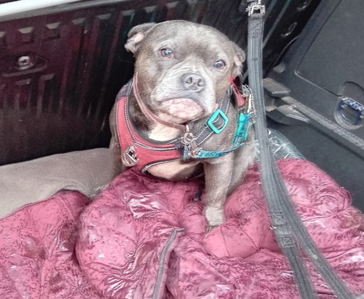 The support thread for anyone trying to lead an alcohol free life.