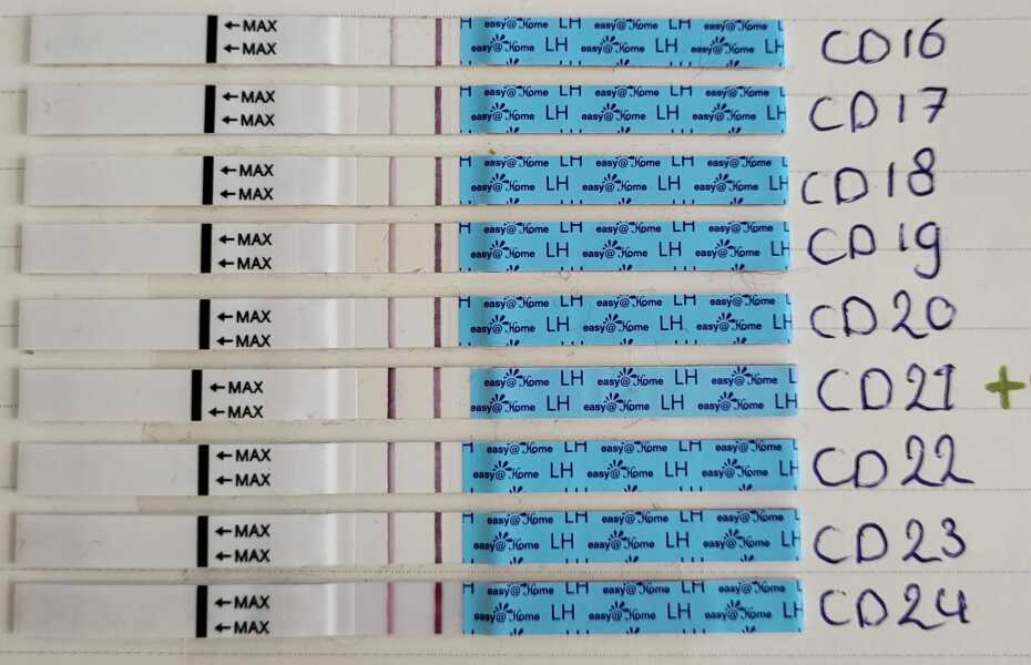 Please help! No BBT rise after ovulation?