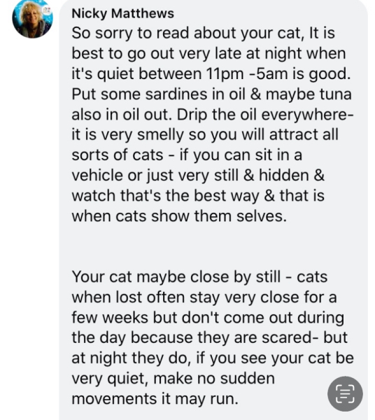 Bit of reassurance for my new rescue cat