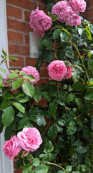 Does your front door match your hallway?