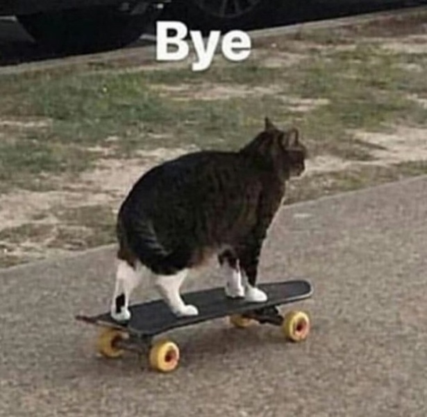 To ask if anyone else on MN is not anti-trans?