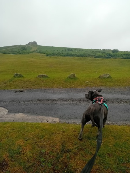 The support thread for anyone trying to lead an alcohol free life.