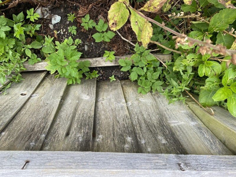 Garden fence problem