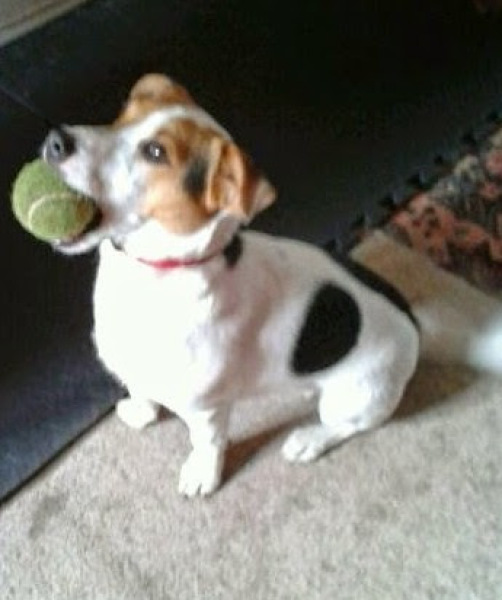 Thread 3 Starmer:  Digging has started, bigger shovel required