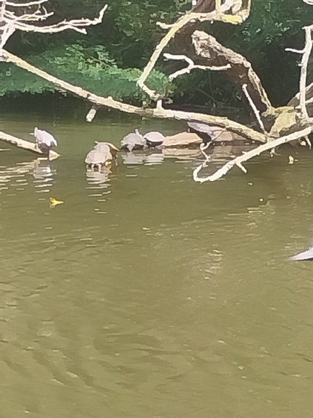 Thread 3 Starmer:  Digging has started, bigger shovel required