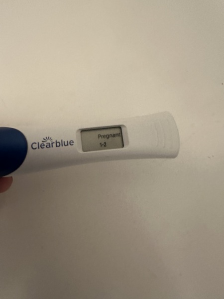 Do you see what I see?