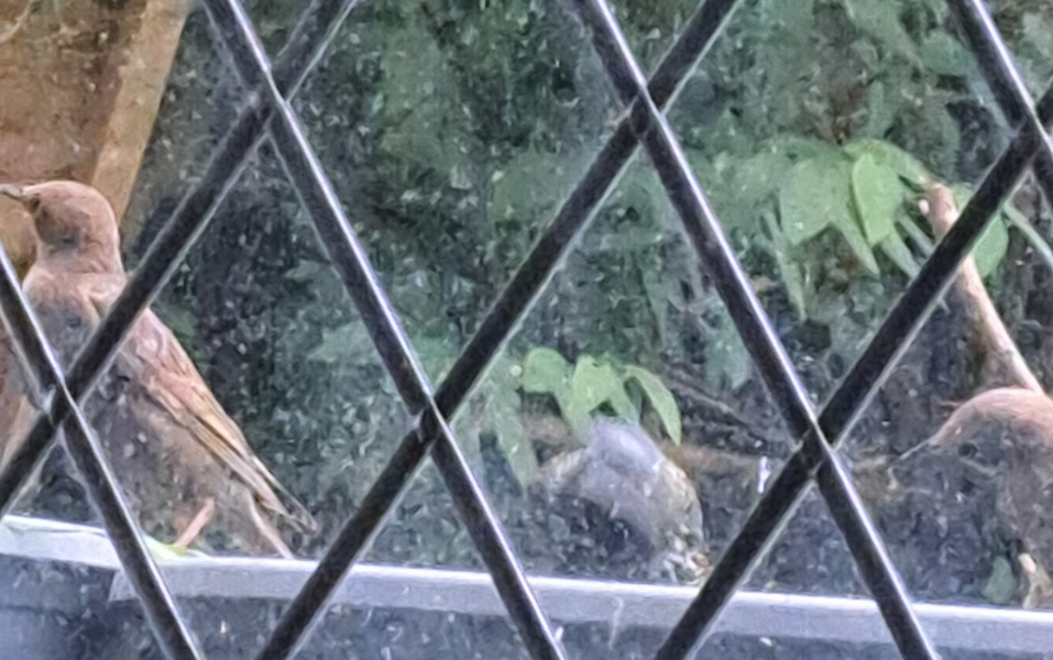 Thread 2. Starmer, return of the Labour government