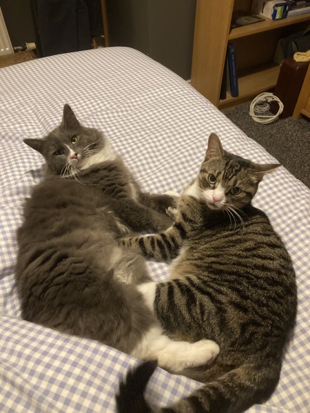 Thread 2. Starmer, return of the Labour government