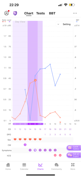 TTC after chemical pregnancy