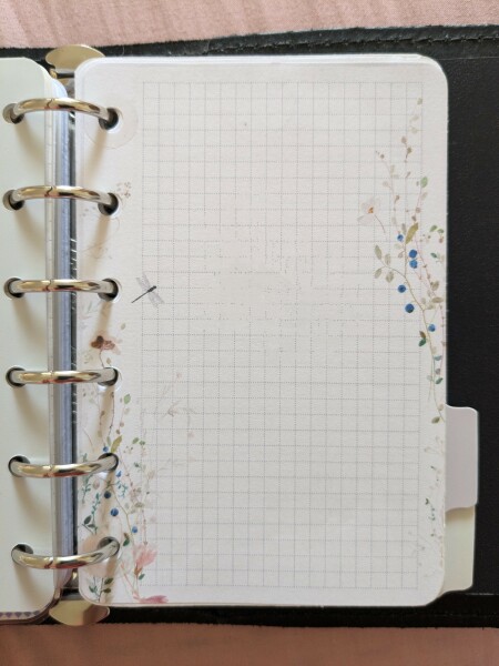 Any planner addicts on here? Need help!