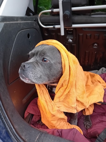 The support thread for anyone trying to lead an alcohol free life.