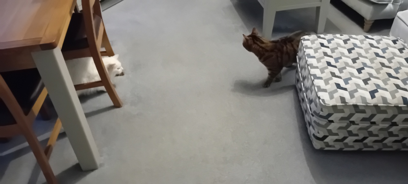 Autistic women assemble! #4