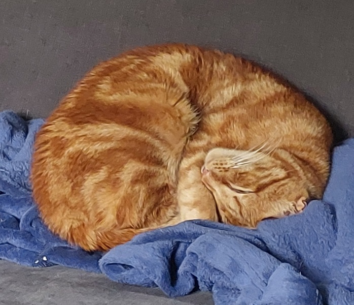 Thread 2. Starmer, return of the Labour government