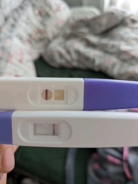Pregnancy test
