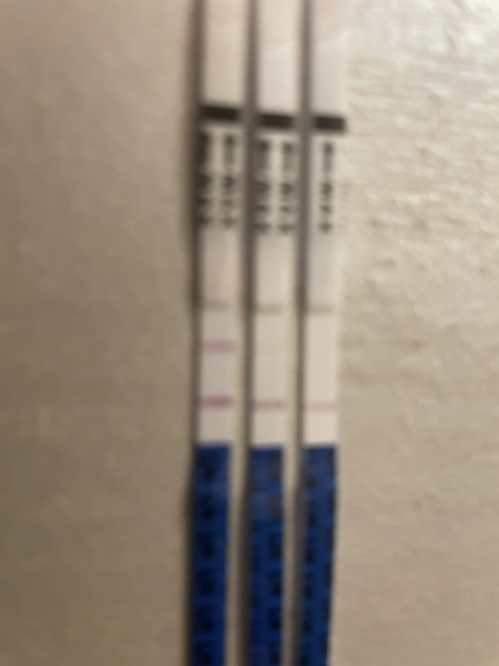 Anyone in there fertile window now