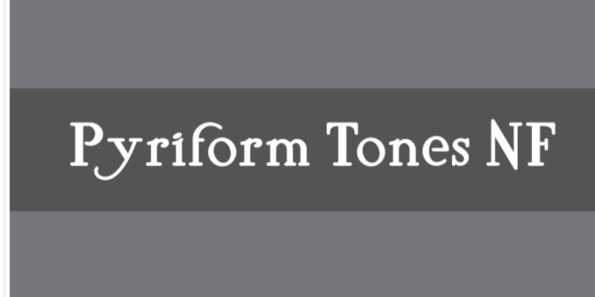 What is this font?
