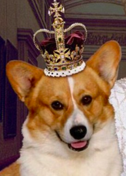 Post your unpopular royal family opinions?