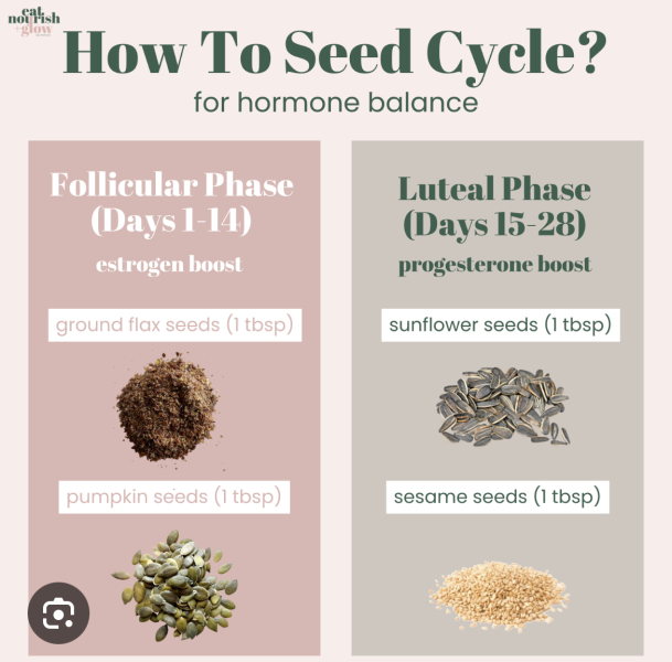 TTC after chemical pregnancy