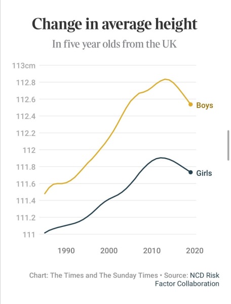 Labour advised to finish closing all grammars