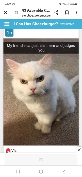 Do you have  . . . .   In your house ? Part two .