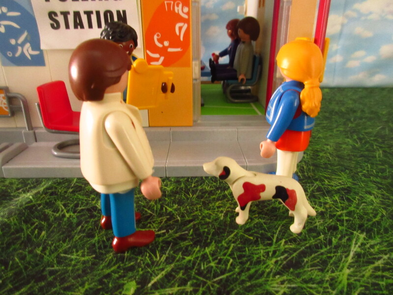 It's general election day for the Playmobil people in our house.