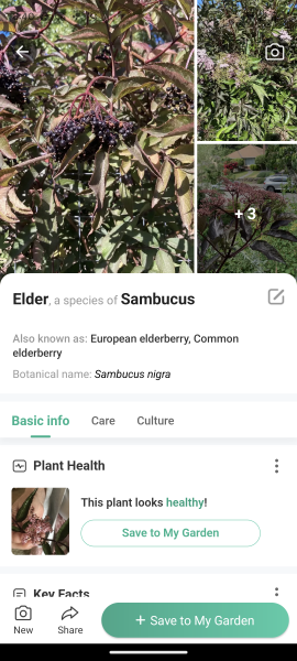 Plant id