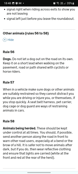 Bright white fluffy dog- how do I stop frightening horses?