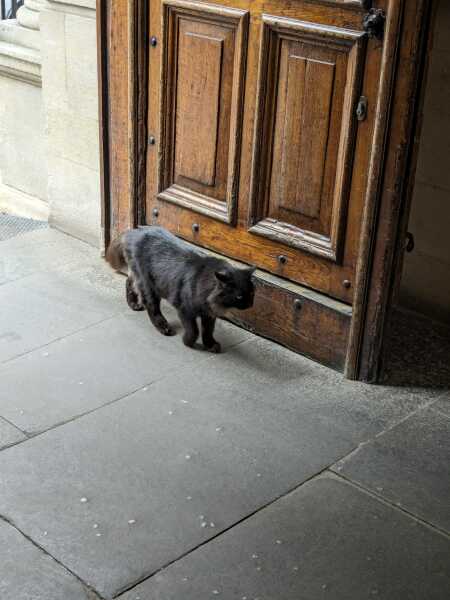 Thread 2. Starmer, return of the Labour government