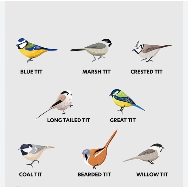 To not want to see t*ts on the beach??!