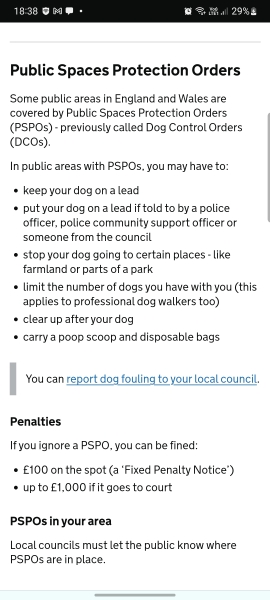Bright white fluffy dog- how do I stop frightening horses?