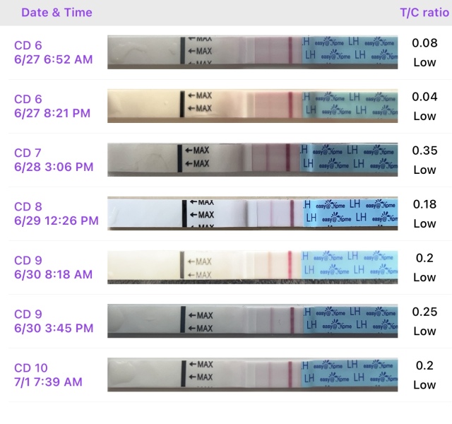 TTC after chemical pregnancy