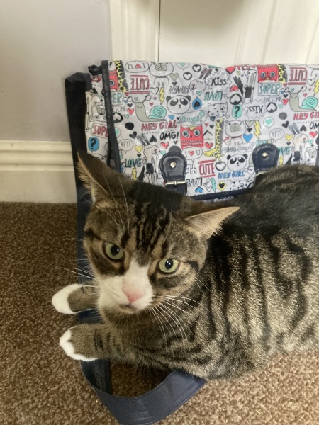 Thread 3 Starmer:  Digging has started, bigger shovel required