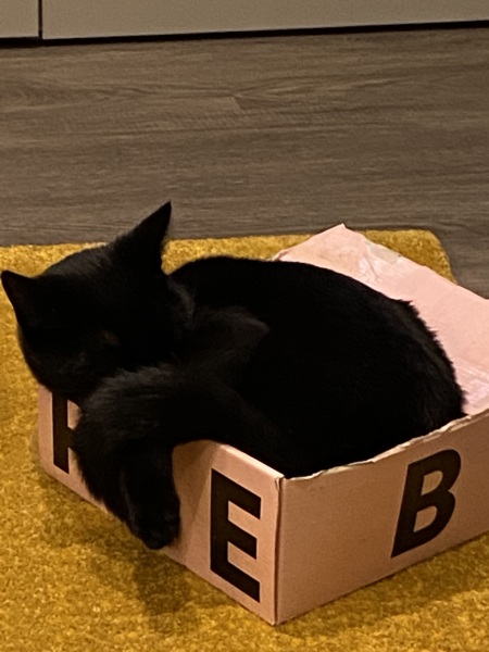 Thread 3 Starmer:  Digging has started, bigger shovel required