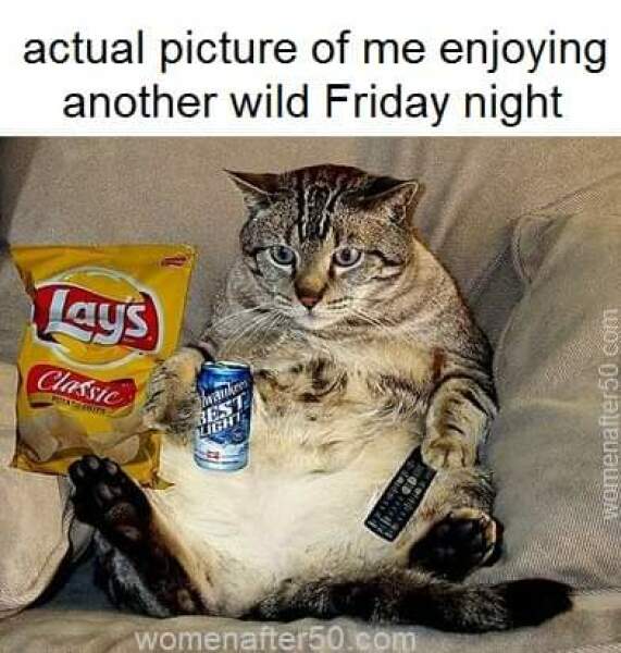 The support thread for anyone trying to lead an alcohol free life.