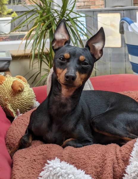 About to start a 6-month extension build...