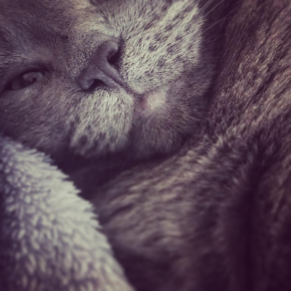 Thread 1 Starmer: A New Hope