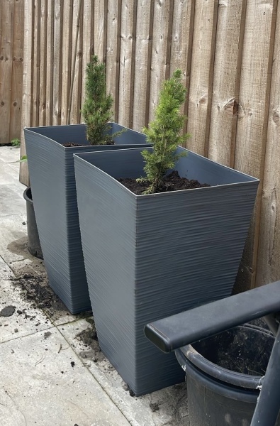 Spring has sprung...let's Countdown to Christmas 2024 (Thread 2)