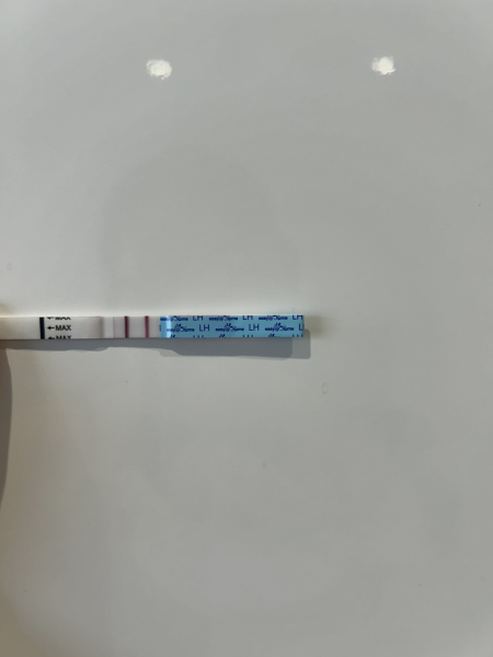 2 LH surges in one cycle?